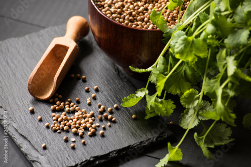 cilantro coriander seeds