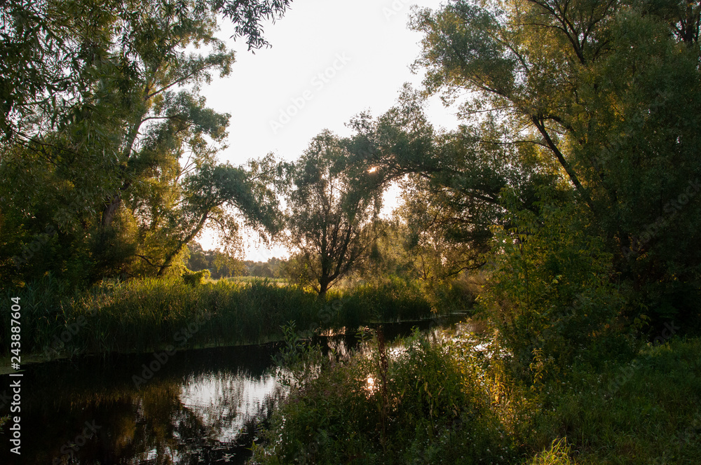 Small river slow flowing across the green forest with reflections of trees in the water. Summer Small river slow flowing across the green forest with reflections of trees in the water. Summer