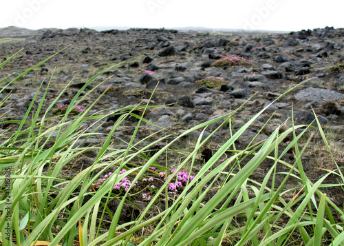 Reykjanes (Iceland) - rift valley's detail photo