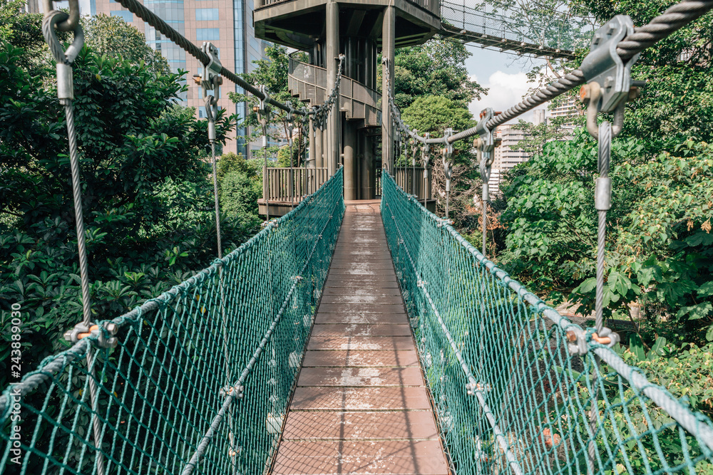 Kuala Lumpur city view from Bukit Nanas Forest Reserve and now called KL Forest Eco-Park. Suspension bridge, walkway to the adventurous, cross to the other side. Kuala Lumpur city view from Bukit Nanas Forest Reserve and now called KL Forest Eco-Park. Suspension bridge, walkway to the adventurous, cross to the other side.
