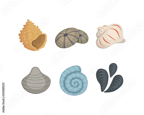 Sea shell vector icons in cartoon style. Set of clam mollusc. Ocean cockleshell.