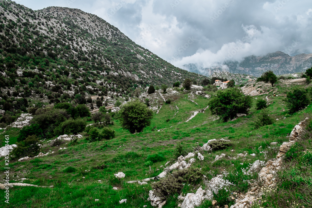 Naklejka premium Green mountains in Lebanon ar springtime