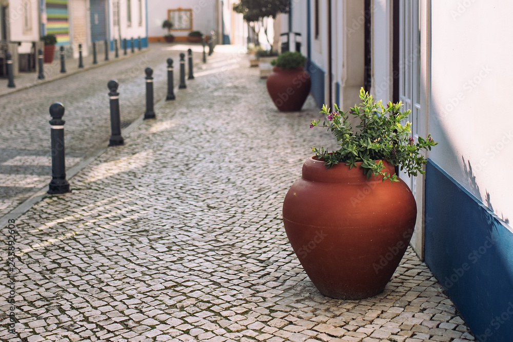 Street in the town, Portugal. Typical Portuguese cobble stone paving.  Pot with flower in the street.