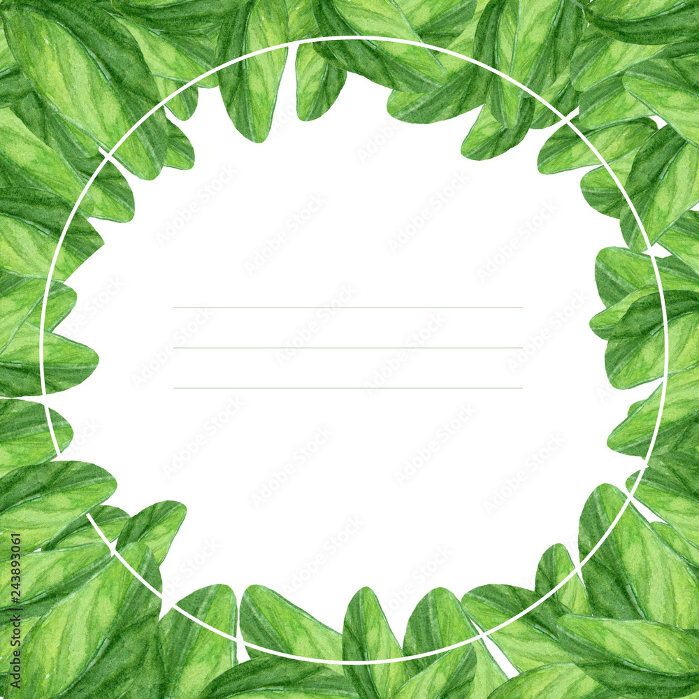 Fototapeta premium Invitation card design made in watercolor. Hand drawn illustration with basil leaves, sorrel