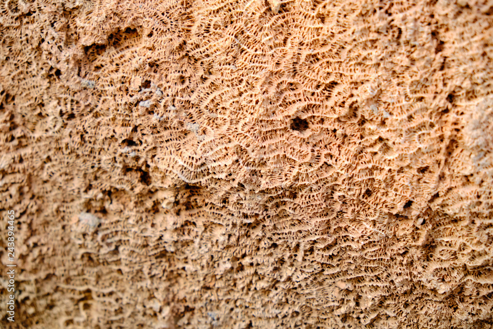 texture of old wall    