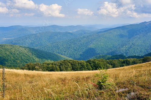 Fototapeta Naklejka Na Ścianę i Meble -  Beautiful panoramic view of the Bieszczady mountains in the early autumn, Bieszczady National Park (Polish: Bieszczadzki Park Narodowy), Poland.