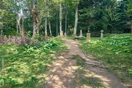 Fototapeta Naklejka Na Ścianę i Meble -  Beautiful panoramic view of the Bieszczady mountains in the early autumn, Bieszczady National Park (Polish: Bieszczadzki Park Narodowy), Poland.