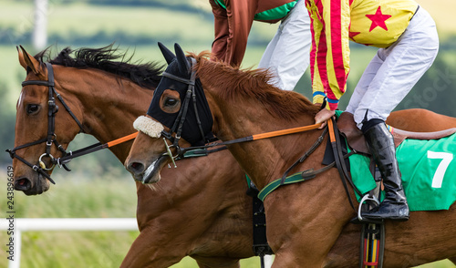 Close up on two Race horses galloping on the race track