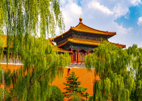 Forbidden city in Pekin surrounded with weeping willows