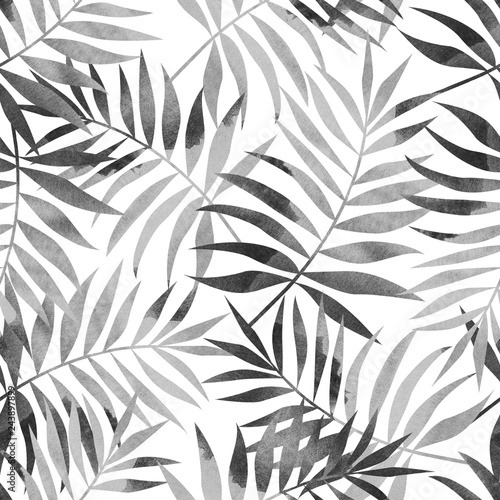 Fototapeta Bezszwowy wzór z tropikalną palmą opuszcza na bi