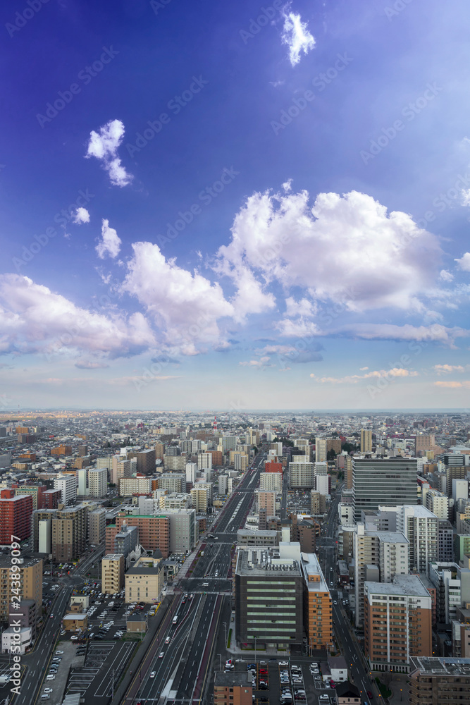 Obraz premium Cityscape of sendai city aerial skyscraper view of office building and downtown of sendia city background. Japan, Asia