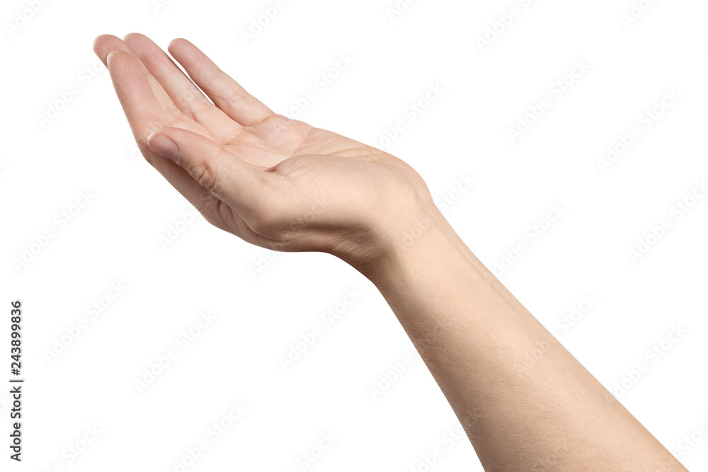Outstretched hand gesture, holding, asking or offering something, isolated on white background Outstretched hand gesture, holding, asking or offering something, isolated on white background
