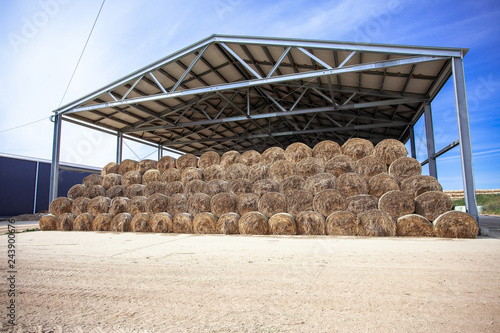 sloping hay under a canopy.