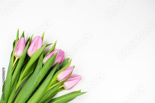Card pink tulips bouquet