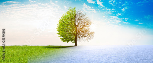 Sprimng winter change