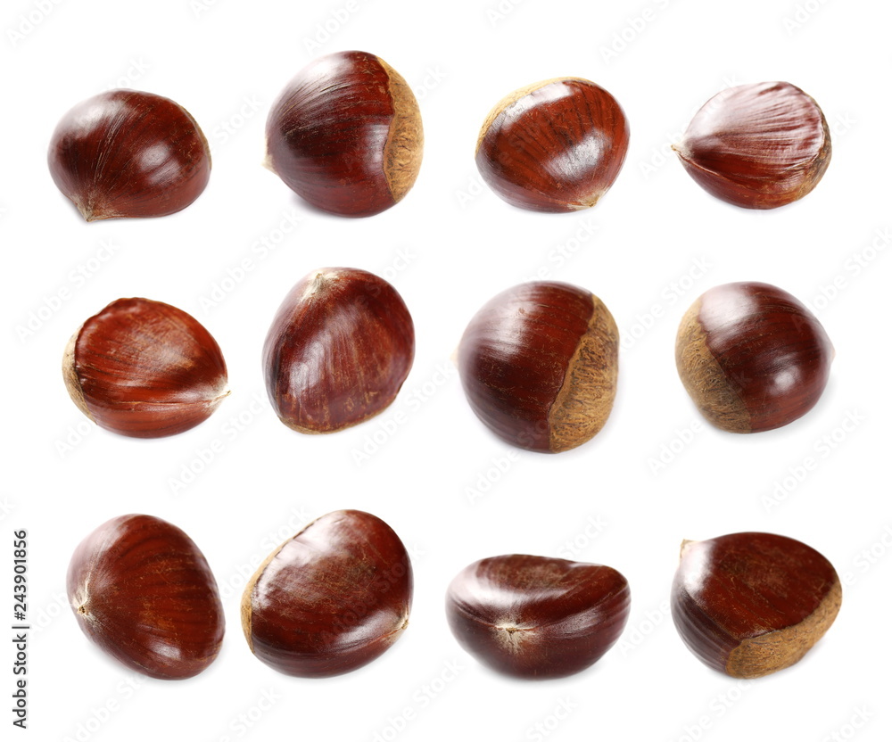 Set edible chestnut macro isolated on white background Set edible chestnut macro isolated on white background