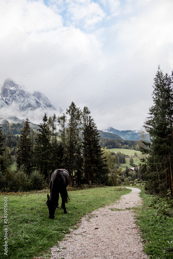 Fototapeta premium Mountain View III