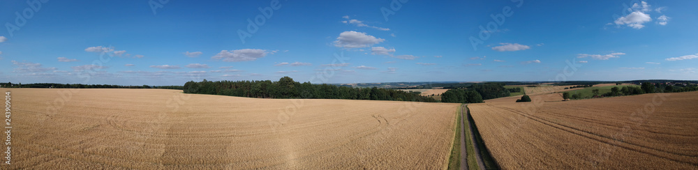 Fototapeta panorama wiejski krajobraz lato z drogą