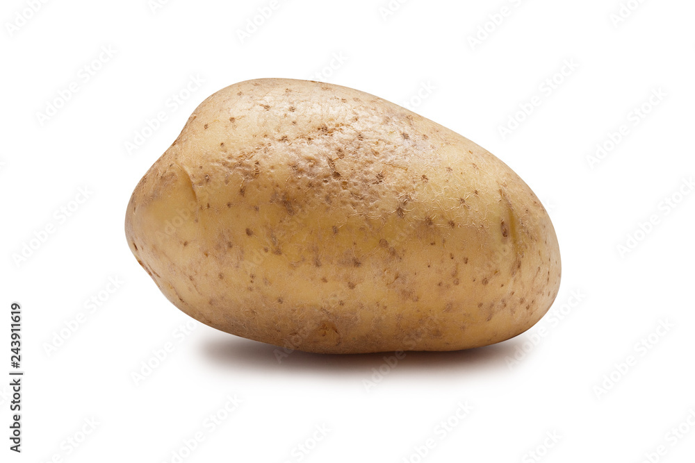 Young potato isolated on white background Young potato isolated on white background