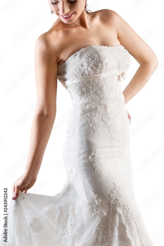 Bride Posing in the Wedding Dress Isolated