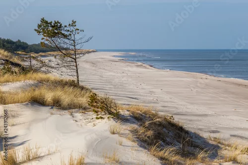 Obraz Plaża w Słowińskim Parku Narodowym. 