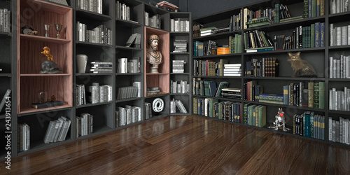 Stanza con grande libreria piena di libri e oggetti, con gatto, rendering 3d, illustrazione 3d photo