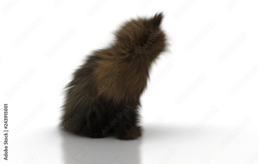 Gatto norvegese con pelo lungo isolato su sfondo bianco, molto peloso, rendering 3D, illustrazione 3d Gatto norvegese con pelo lungo isolato su sfondo bianco, molto peloso, rendering 3D, illustrazione 3d