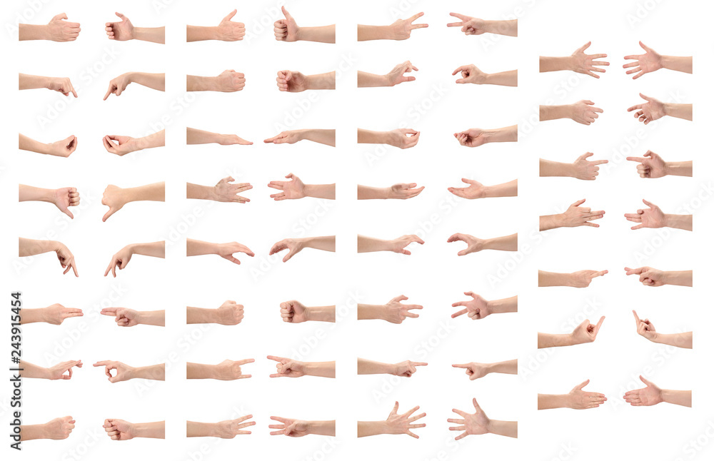 Rich collection of various hand gestures, isolated on white background ...