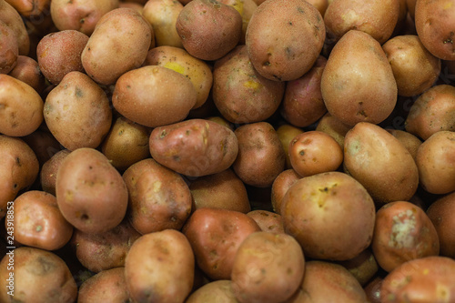 Pile of fresh potatoes