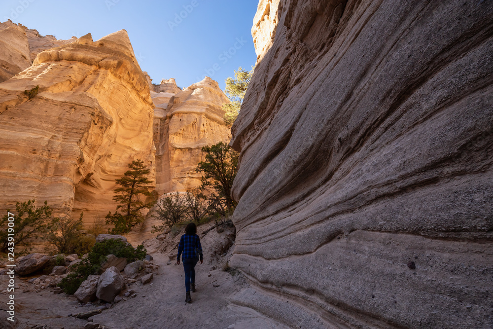 Beautiful American Landscape during a sunny day. Taken in Kasha-Katuwe Tent Rocks National Monument, New Mexico, United States. Beautiful American Landscape during a sunny day. Taken in Kasha-Katuwe Tent Rocks National Monument, New Mexico, United States.