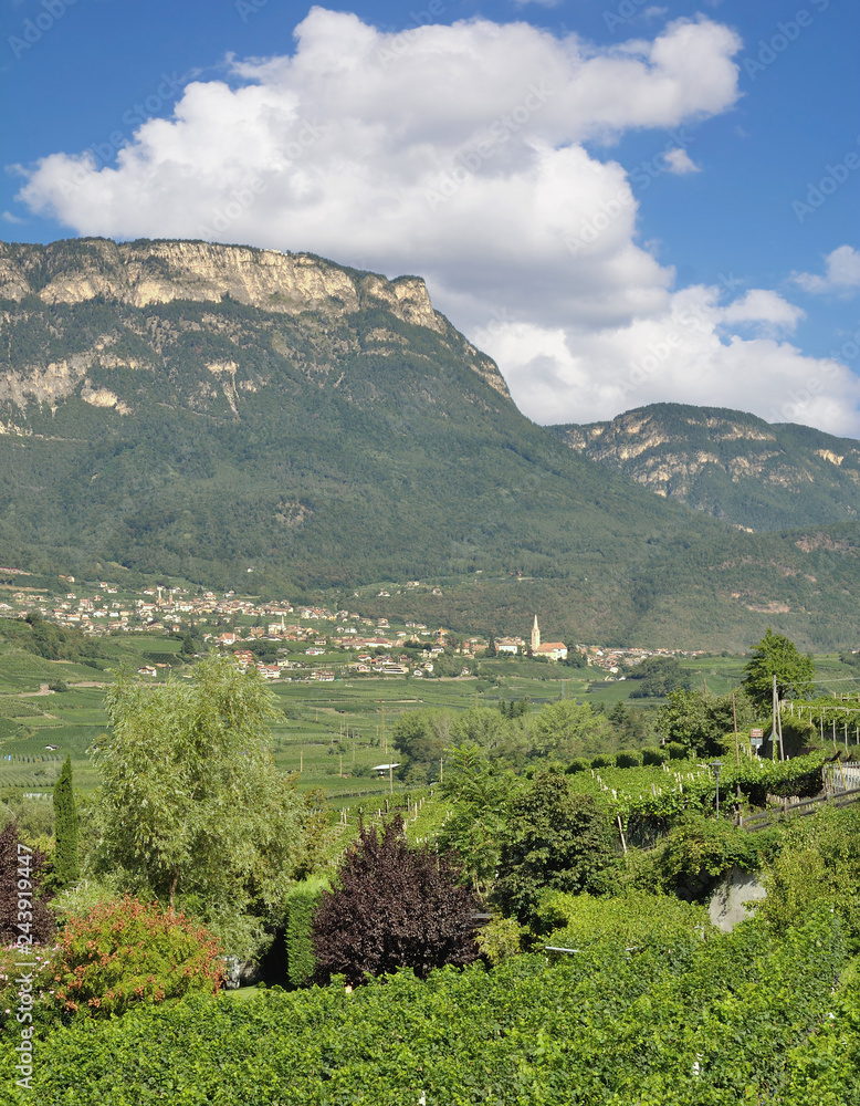 Blick auf den Weinort Kaltern an der Weinstrasse,Südtirol,Trentino,Italien
