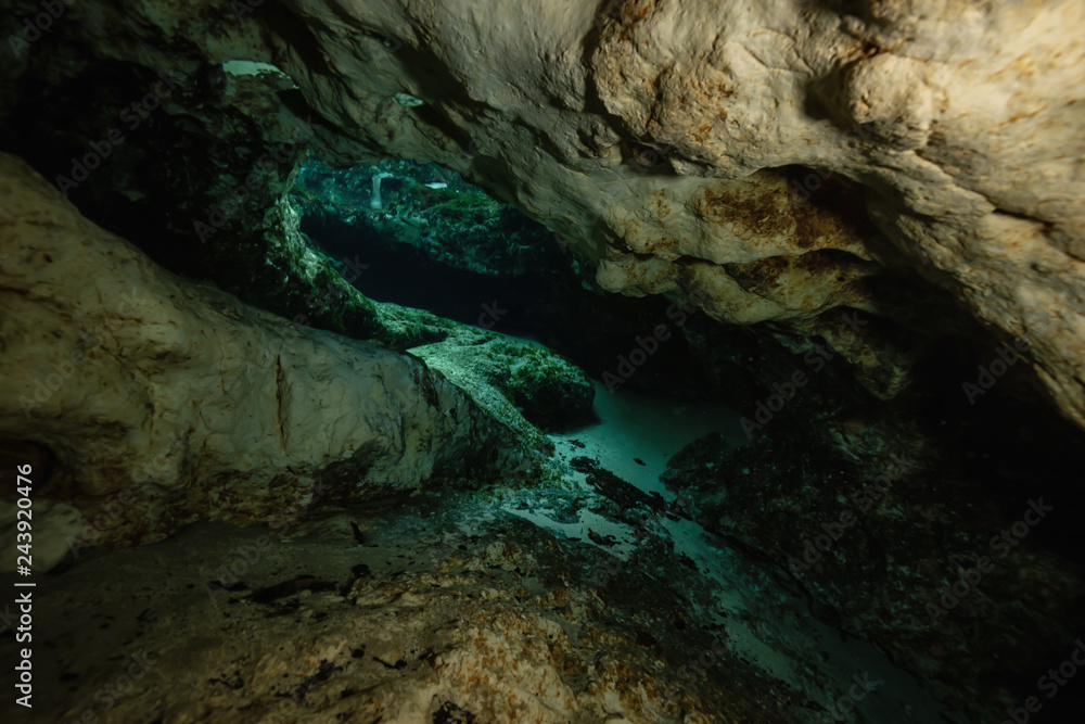 Fototapeta premium Beautiful view of an underwater cave formation. Taken in 7 Sisters Springs, Chassahowitzka River, Florida, United States of America.
