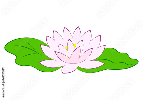 Fototapeta Naklejka Na Ścianę i Meble -  Beautiful pink lotus flower with green leaves in pond. Poster with water lily vector illustration isolated on white background.