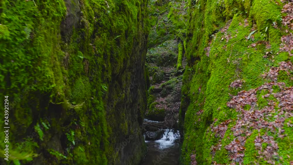 Green mossy cleft with a Creek running through at Dollar Glen Park in Scotland