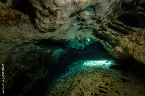 Beautiful view of an underwater cave formation. Taken in 7 Sisters Springs, Chassahowitzka River, Florida, United States of America. © edb3_16