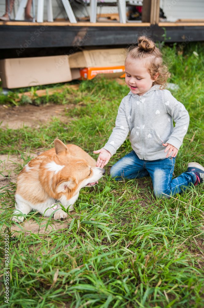 little girl training a corgi dog at the park little girl training a corgi dog at the park