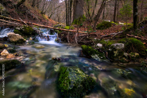 Stream through forest in Triglav national park in Slovenia
