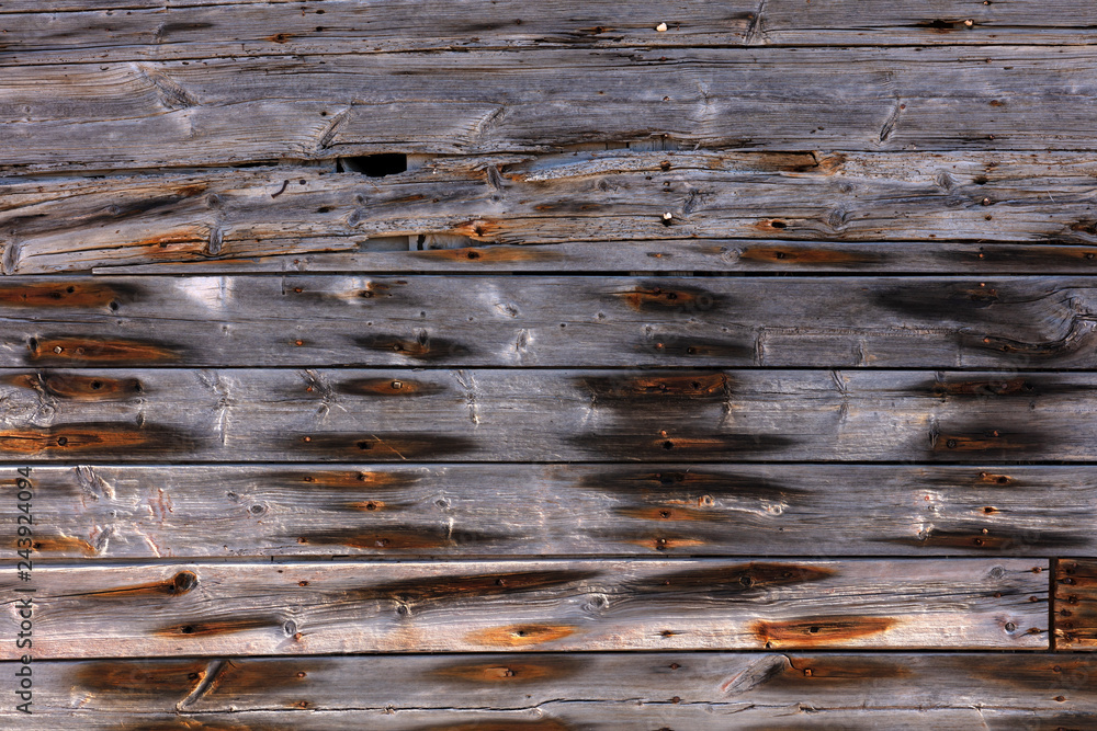 Naklejka premium exterior wooden wall with rusty nails