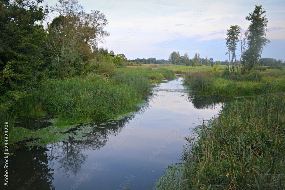 Spływ Narewką, Białowieża