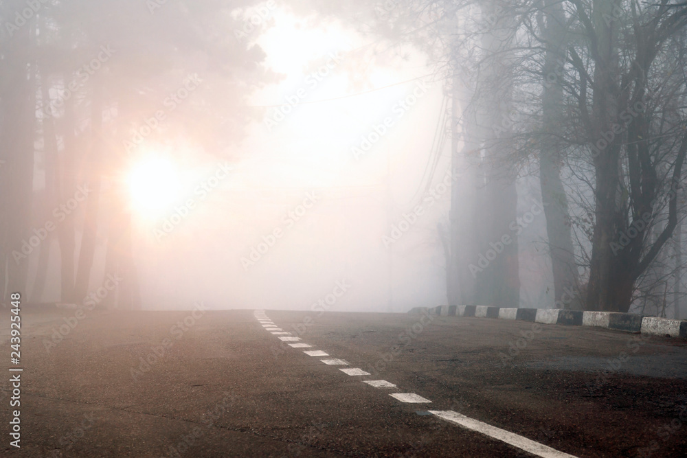 road in fog forest. Dangerous road due to fog. road in fog forest. Dangerous road due to fog.