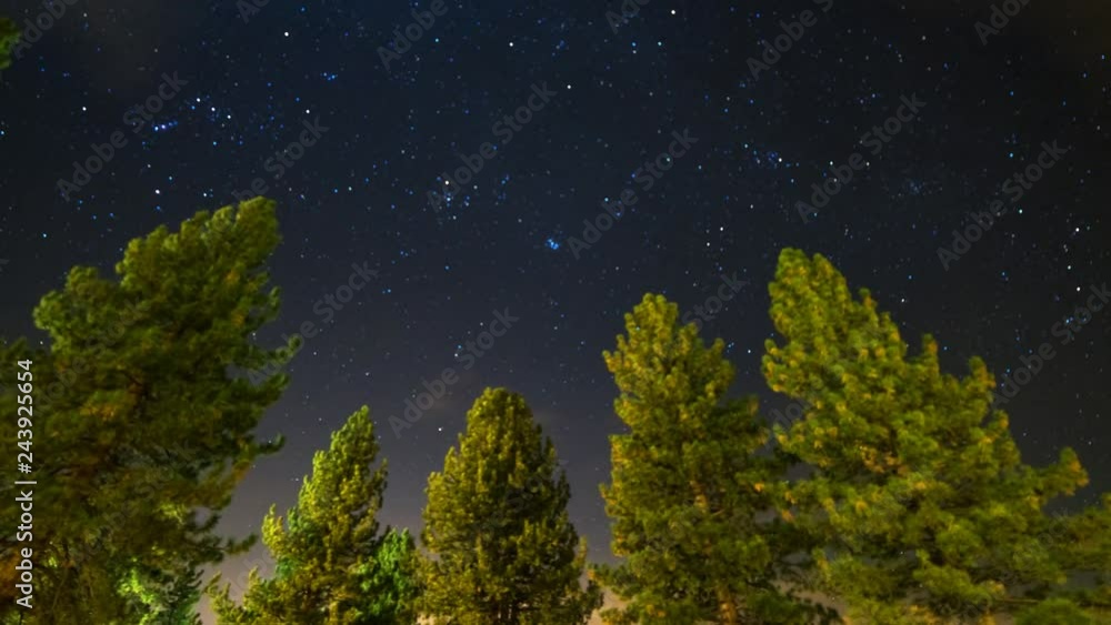 Astro Timelapse of Starry Sky over Pine Tree Forest -Tilt Up- Astro Timelapse of Starry Sky over Pine Tree Forest -Tilt Up-