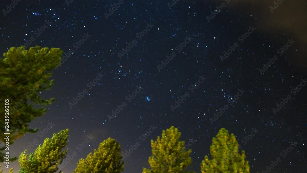 Astro Timelapse of Starry Sky over Pine Tree Forest -Rotate Left- Astro Timelapse of Starry Sky over Pine Tree Forest -Rotate Left-