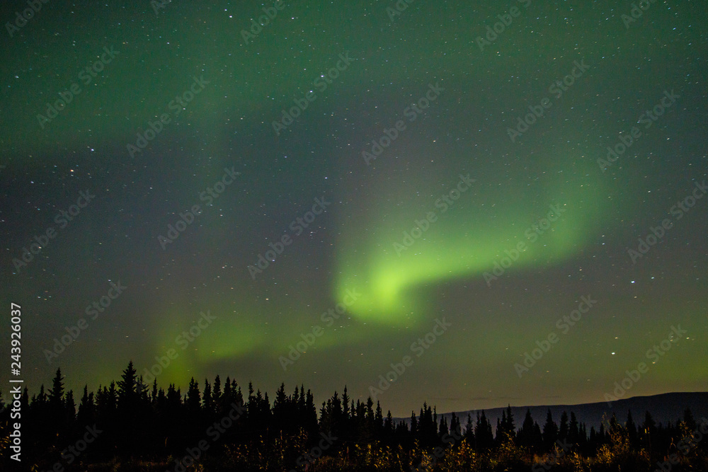 Dancing night sky as magical show of Far North