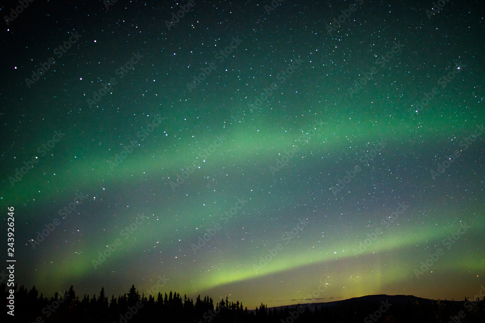 Aurora light on the winter sky in Alaska