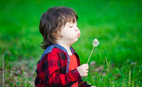  Boy, serious, red shirt, green background, dandelion
