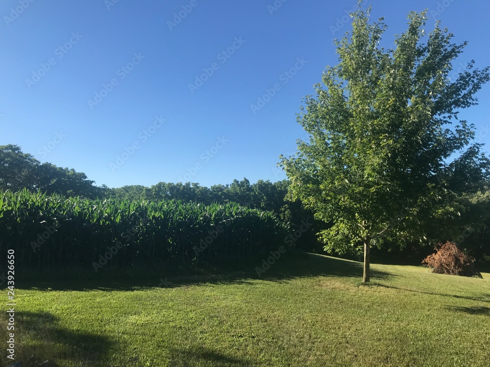 Obraz premium Rural Ontario