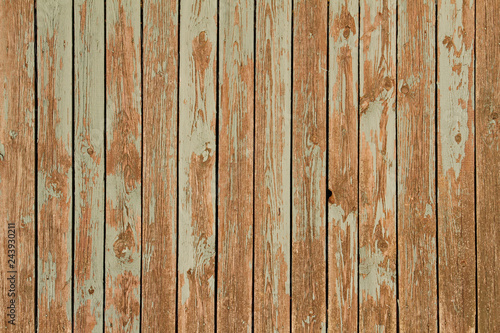 Old green wooden wall as background or texture