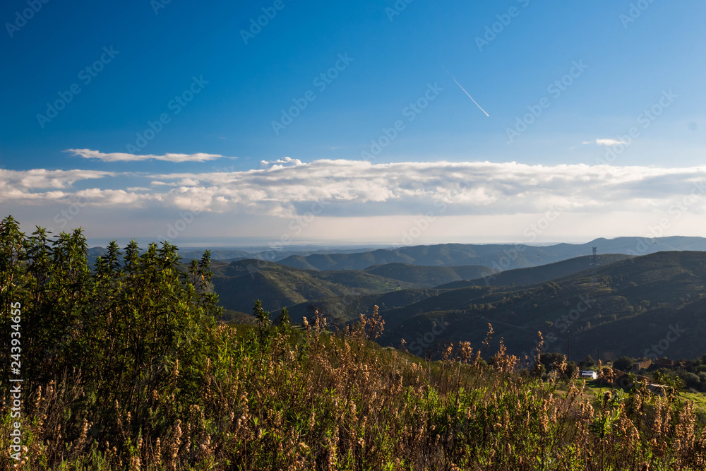 Obraz premium landscape with mountains and trees