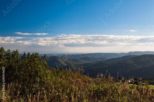 landscape with mountains and trees