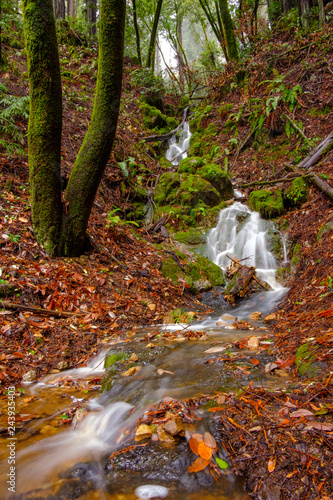 Mossy waterfall wide good for text or background